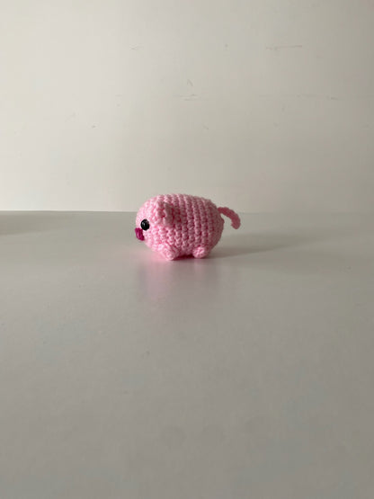 Pocket Sized Piglet